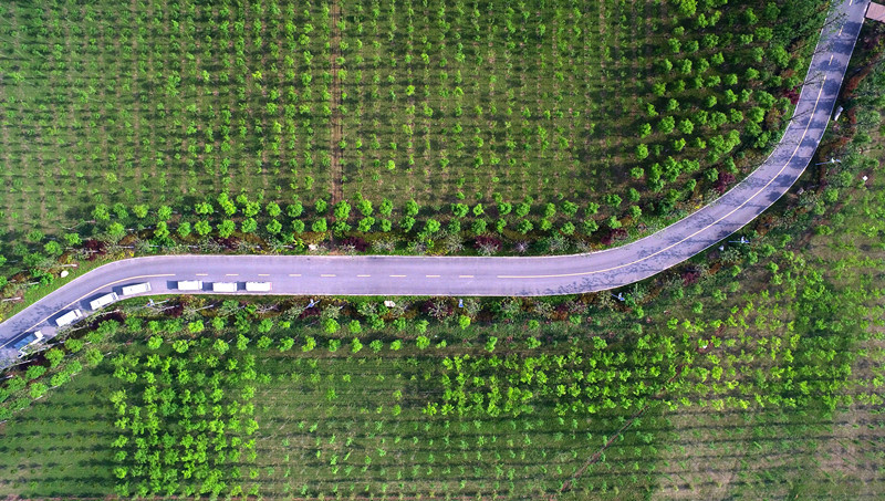 世界上最好的养生药,十大最养生药