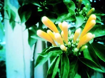 福州的工作技术学院有哪些,福州工作技术学院都有什么学院