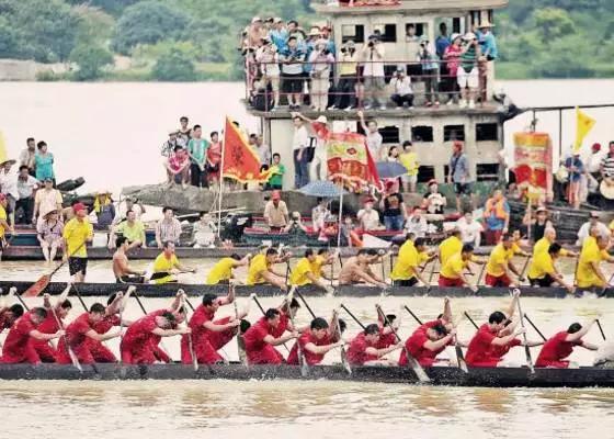 南村万博发展潜力,南村万博未来规划