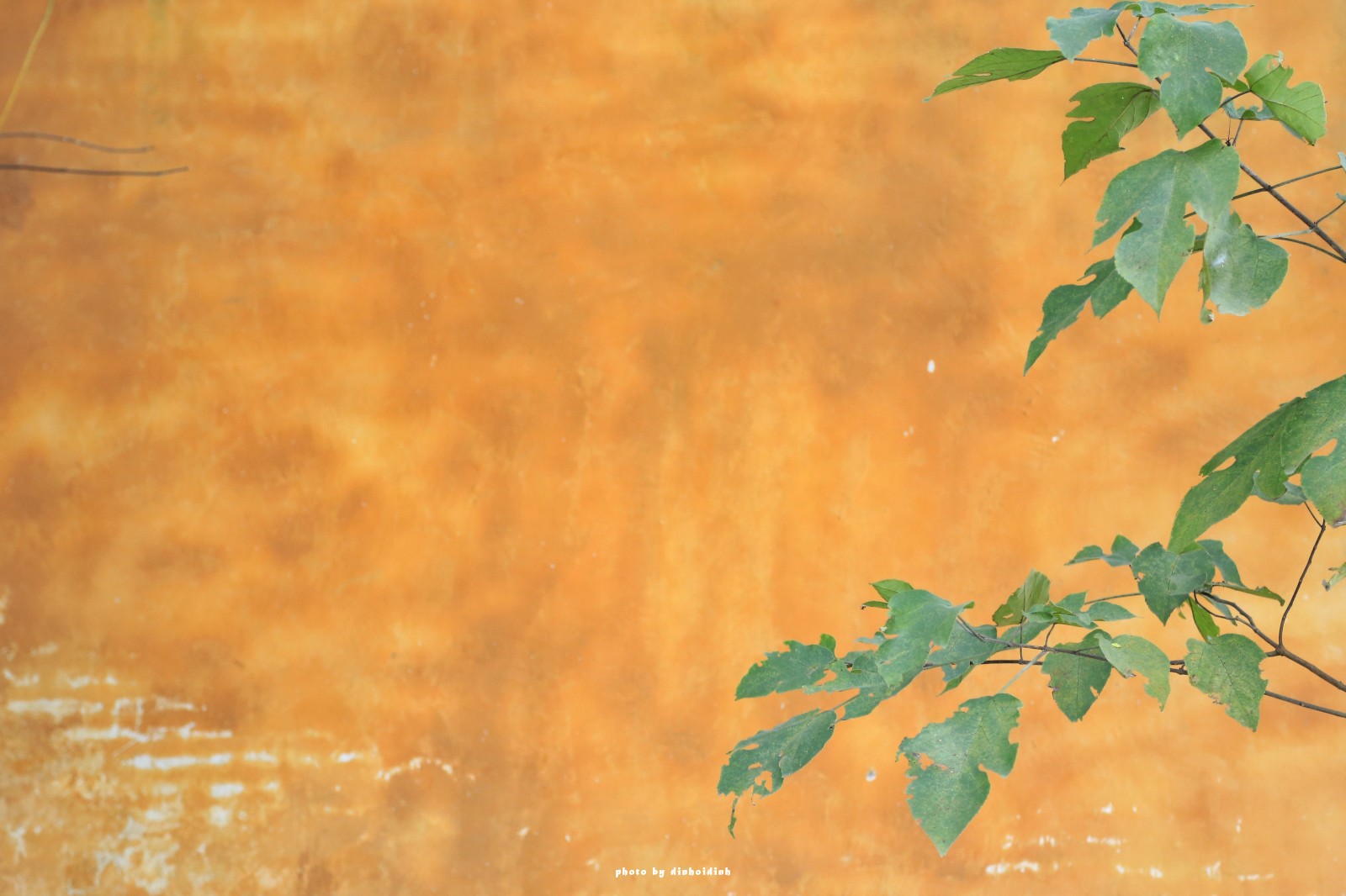 天等小记-登一座山爱一座城看一片天等日夕晨