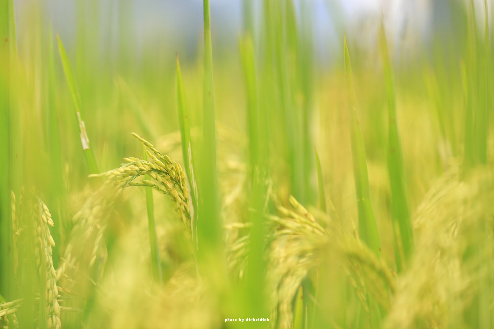 天等小记-登一座山爱一座城看一片天等日夕晨