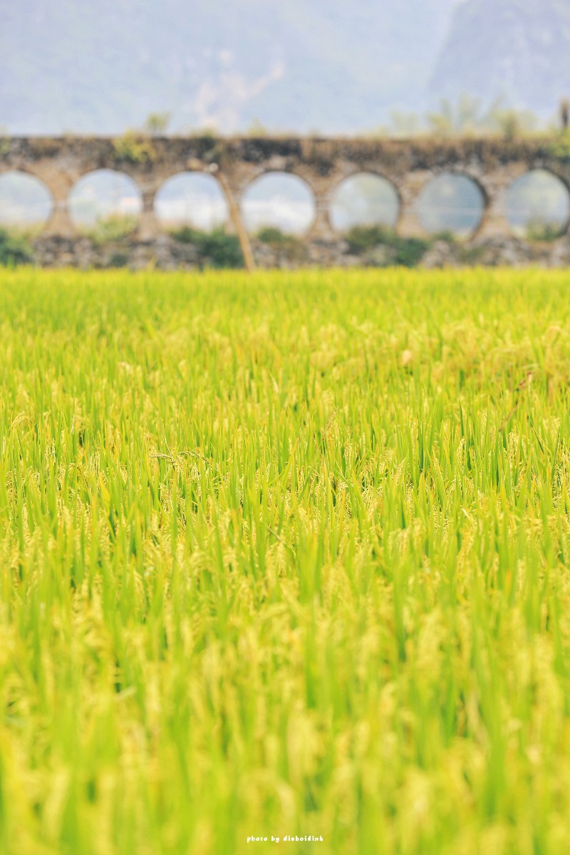 天等小记-登一座山爱一座城看一片天等日夕晨