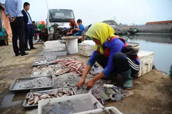舌尖上的美食青岛完整版,舌尖上的青岛西海岸美食