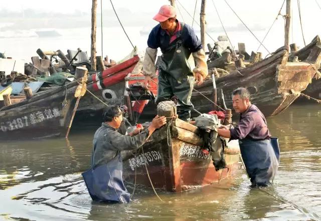 舌尖上的美食青岛完整版,舌尖上的青岛西海岸美食