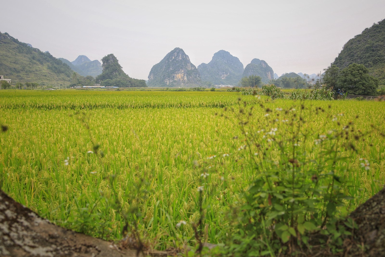 天等小记-登一座山爱一座城看一片天等日夕晨