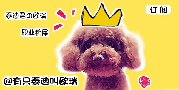 *亲近**繁殖狗狗后腿萎缩，狗兄弟陪它一路复健