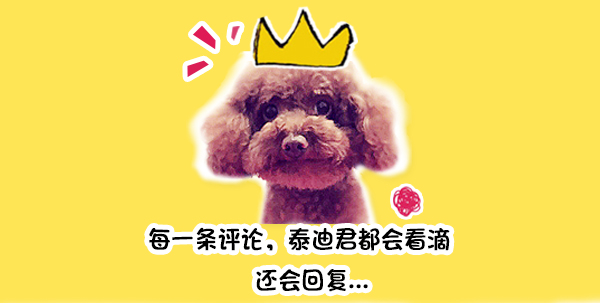 *亲近**繁殖狗狗后腿萎缩，狗兄弟陪它一路复健