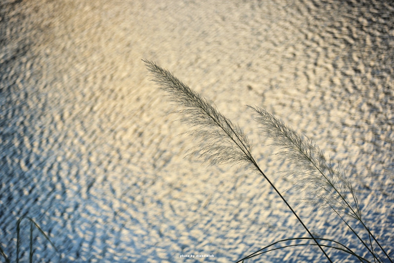 天等小记-登一座山爱一座城看一片天等日夕晨