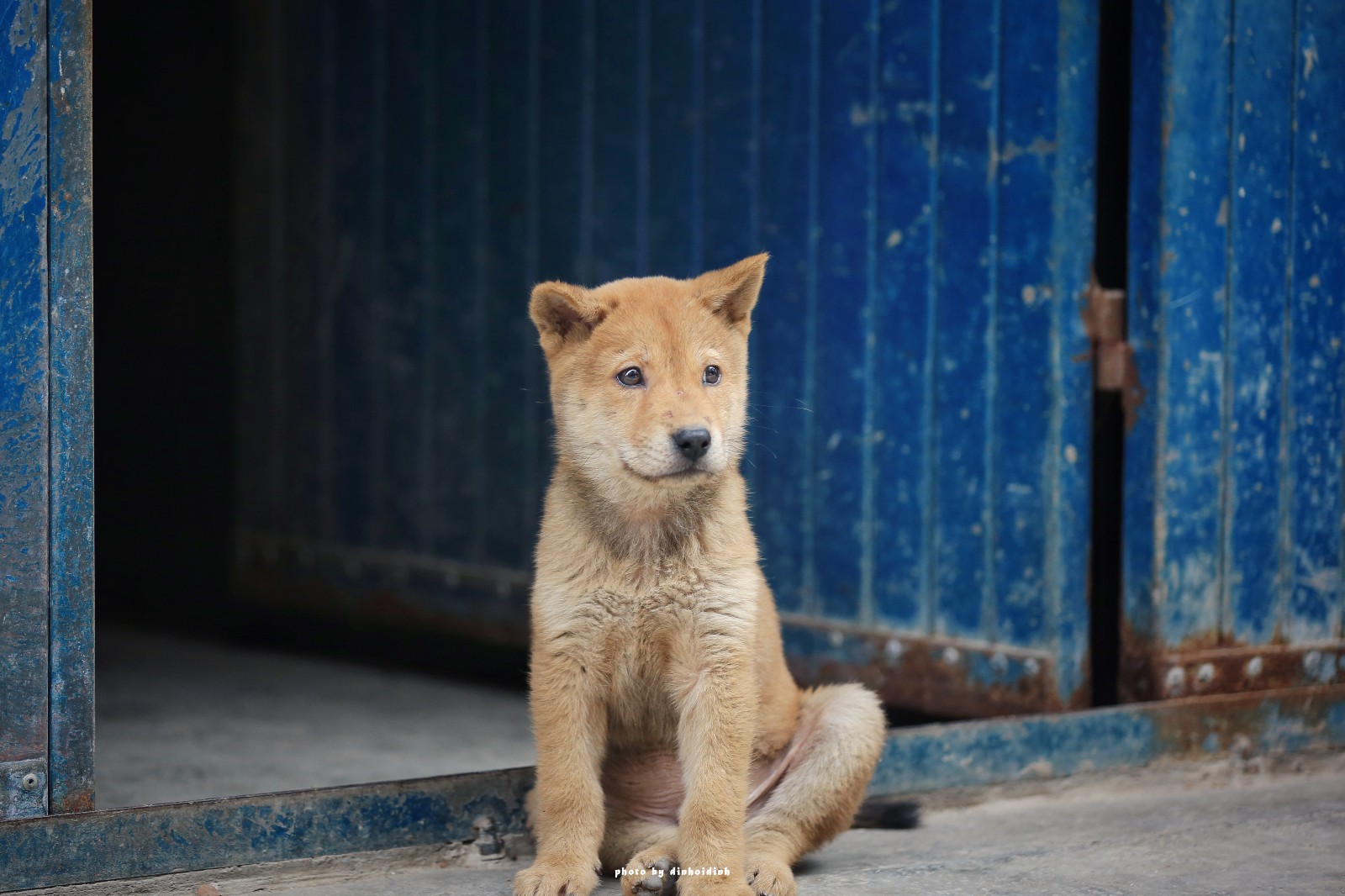 天等小记-登一座山爱一座城看一片天等日夕晨