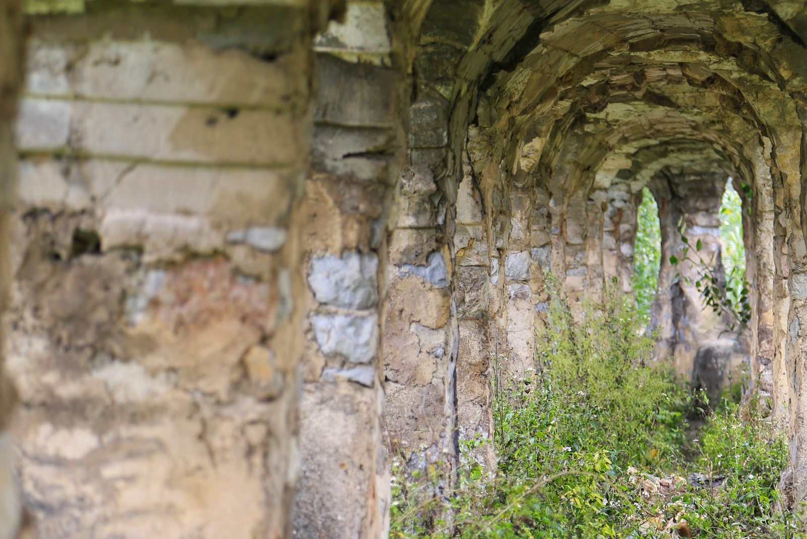 天等小记-登一座山爱一座城看一片天等日夕晨