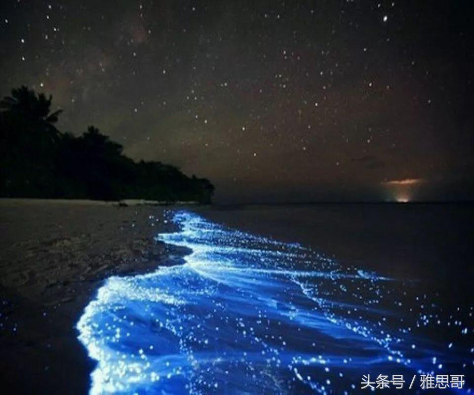 gmat经验分享,gmat备考经验分享