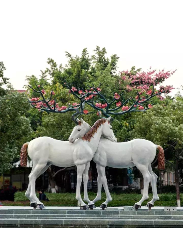 无需春暖花开,厦门最浪漫的酒店