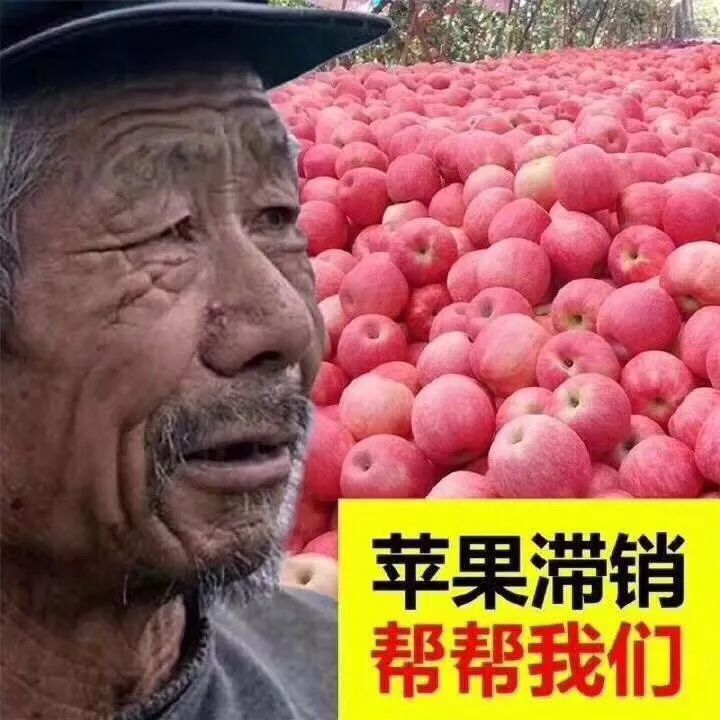 被玩坏的饥荒,被玩坏的二手货还觉得很值钱