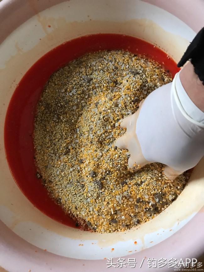 新手钓鱼一学就会,学钓鱼没点狠劲还真不行