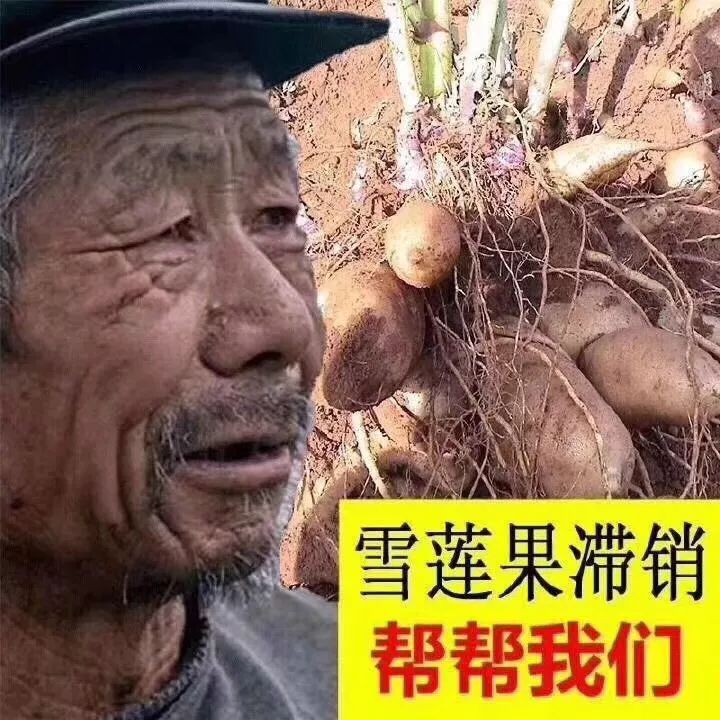 被玩坏的饥荒,被玩坏的二手货还觉得很值钱