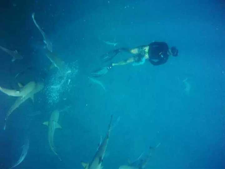 不需要签证就可以去的国家,有哪些小众国家不用签证