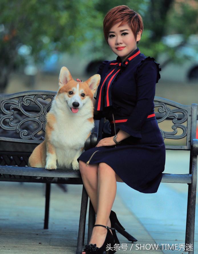 我和我的柯基犬王国