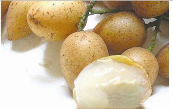 横县人各种各样的美食,广西横县好吃的特色美食