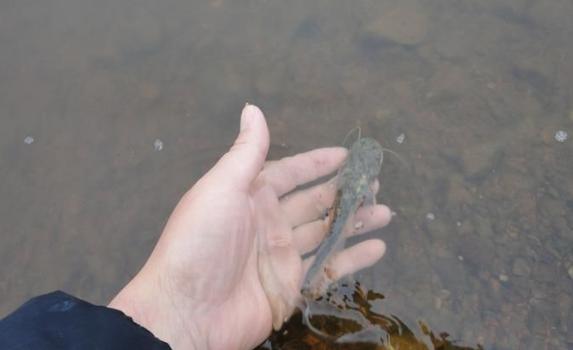 动物学中动物的进化历程,动物进化的历程是什么