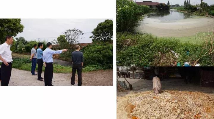 为了更好的明天忘记昨日的烦恼,不忘今天忘记昨天治愈句子