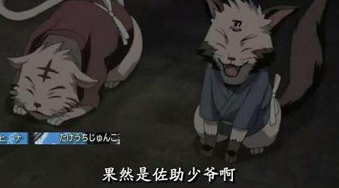 火影里凯的通灵兽是什么,火影通灵兽升级超过3只