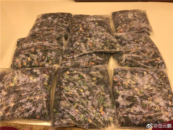 雷佳音送给小岳的拼图,雷佳音小岳岳护送清明上河图