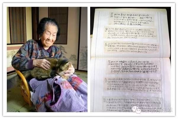 一只来自日本的猫咪信使