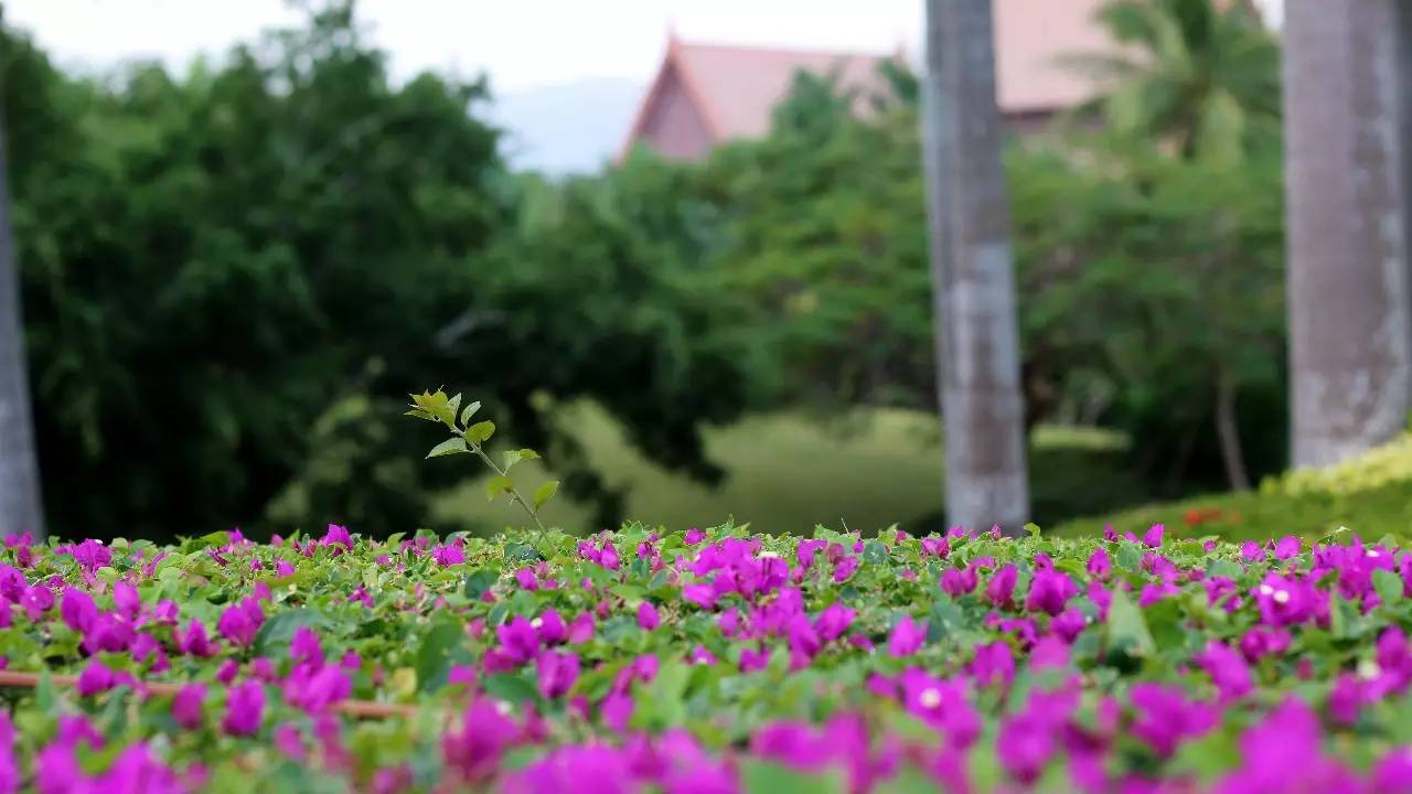三亚万豪度假酒店攻略,三亚假日度假酒店攻略