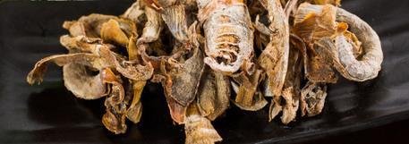 正宗海鲜干货的做法,海产干货怎样做好吃