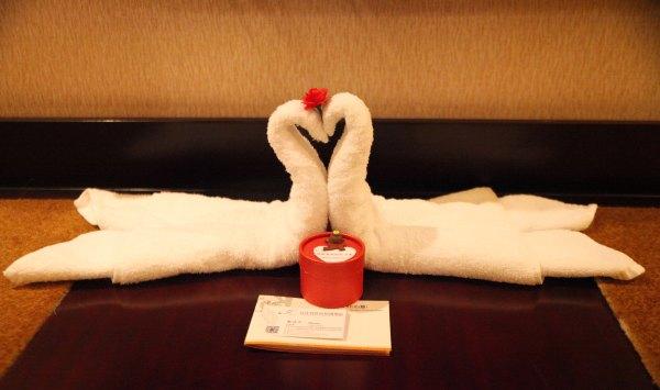 安庆凤凰酒店,安庆碧桂园凤凰酒店