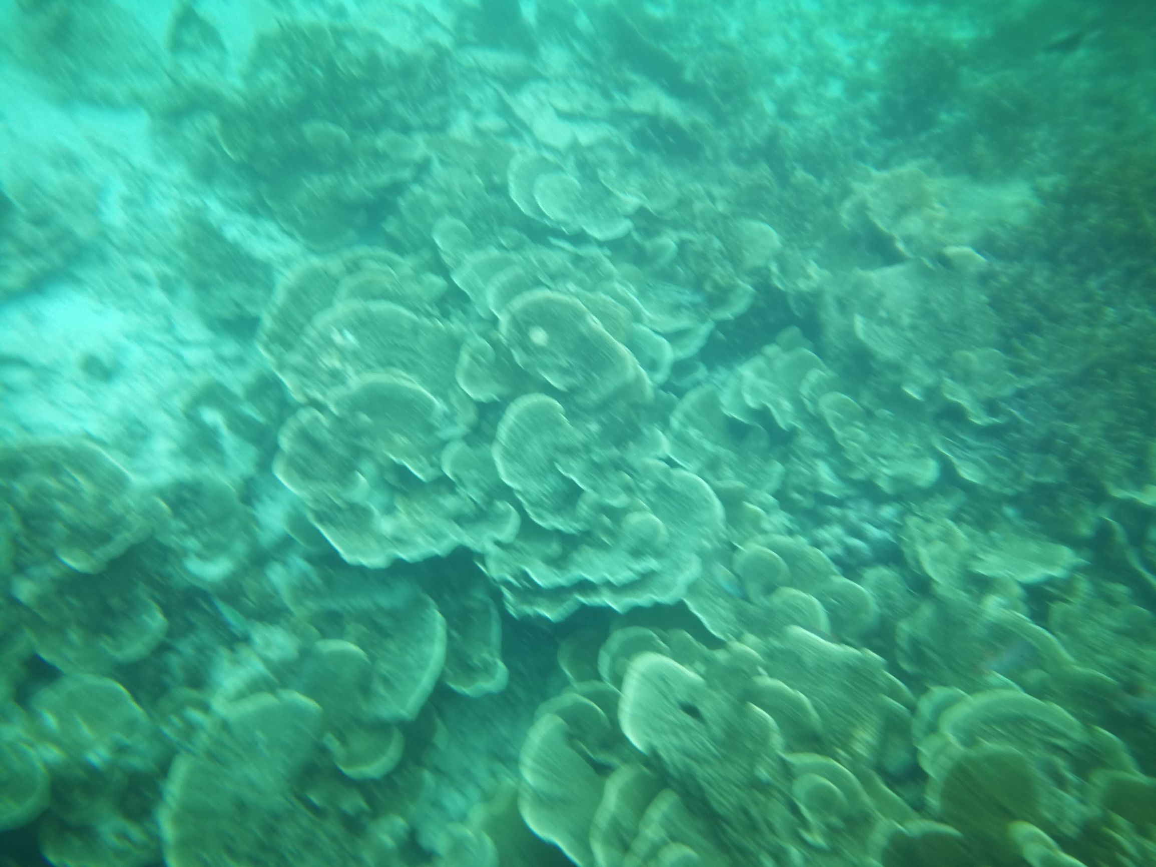 沙巴自由行超详细攻略,第一次去沙巴订的酒店怎么样