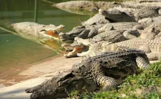 腾冲航线,2023年腾冲直飞航线