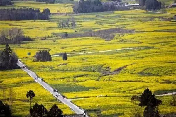 腾冲航线,2023年腾冲直飞航线