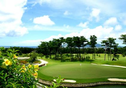 体验高尔夫,体验高尔夫运动的乐趣