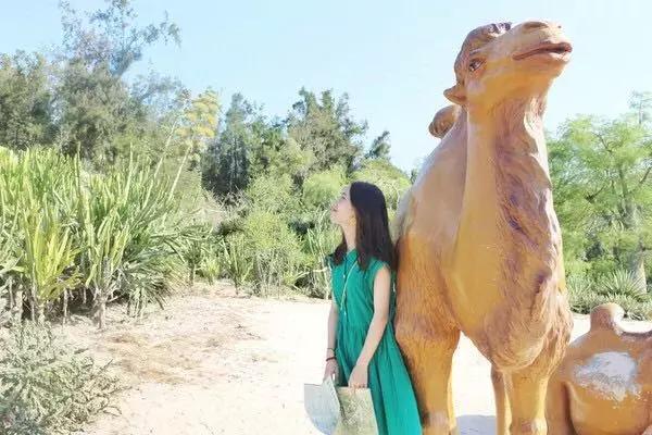 厦门自助游旅行攻略,厦门旅游攻略五日自助游攻略最新