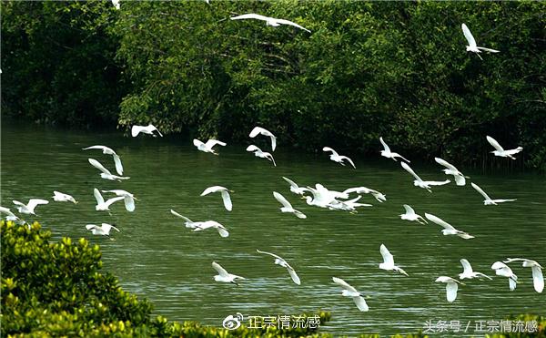 边走边吃水果视频,边走边吃一路看风景