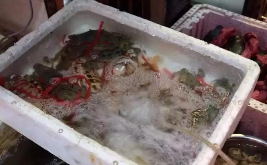 广州潮汕砂锅粥,广州云腾砂锅粥