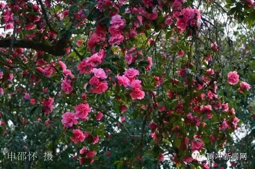 腾冲航线,2023年腾冲直飞航线