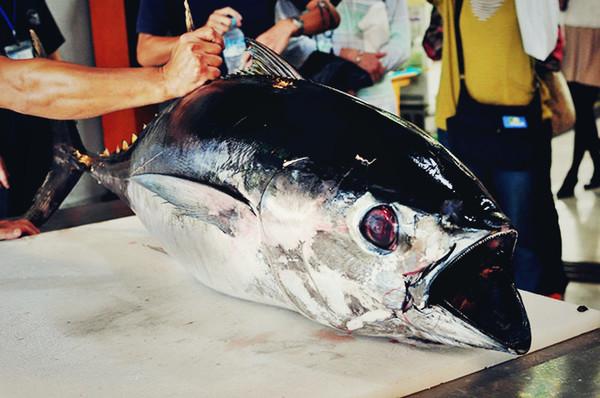 体验高尔夫,体验高尔夫运动的乐趣