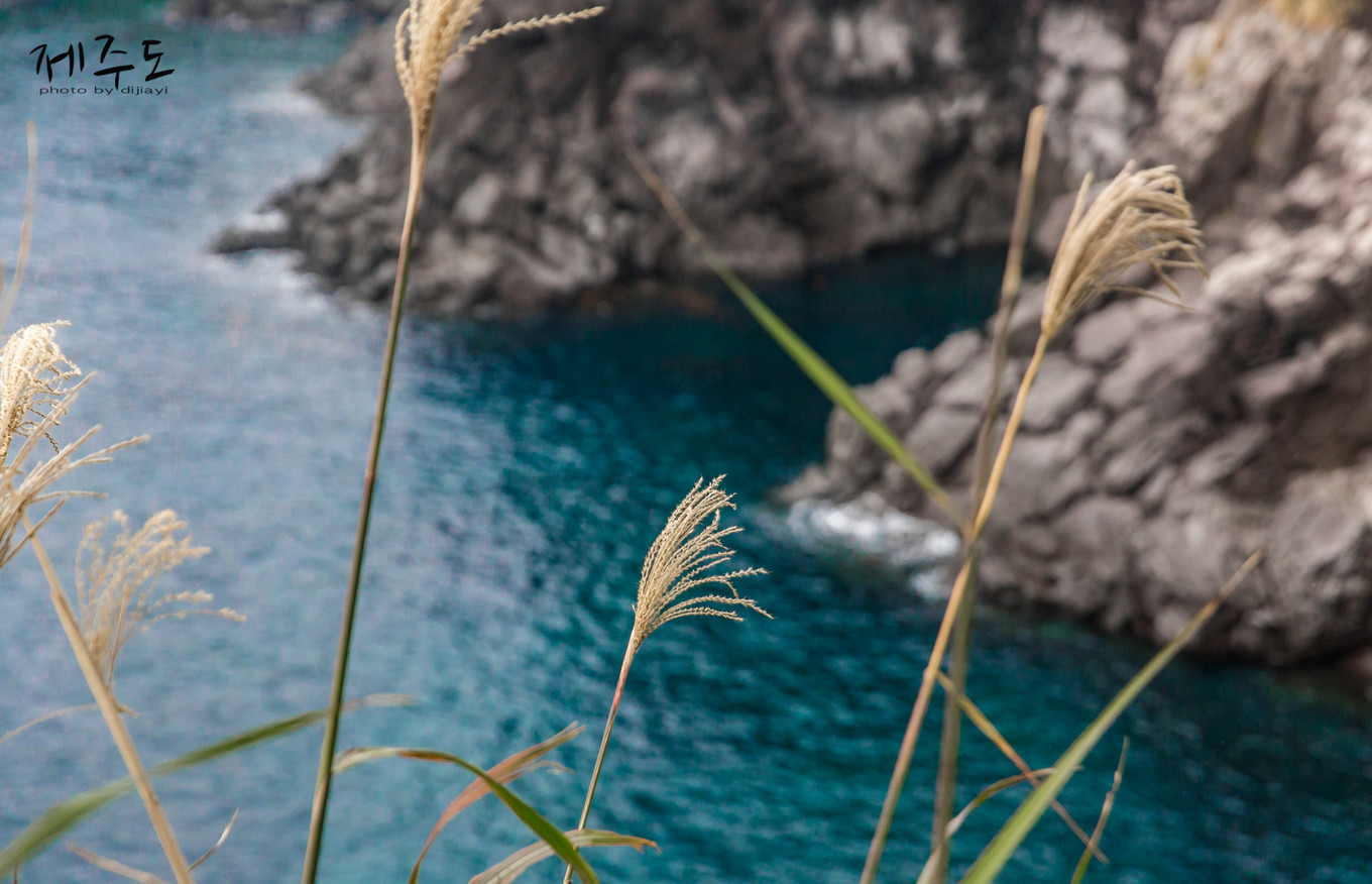济州岛吃喝玩乐,济州岛旅游攻略必去景点推荐