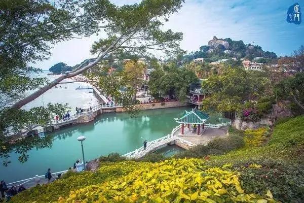 厦门自助游旅行攻略,厦门旅游攻略五日自助游攻略最新