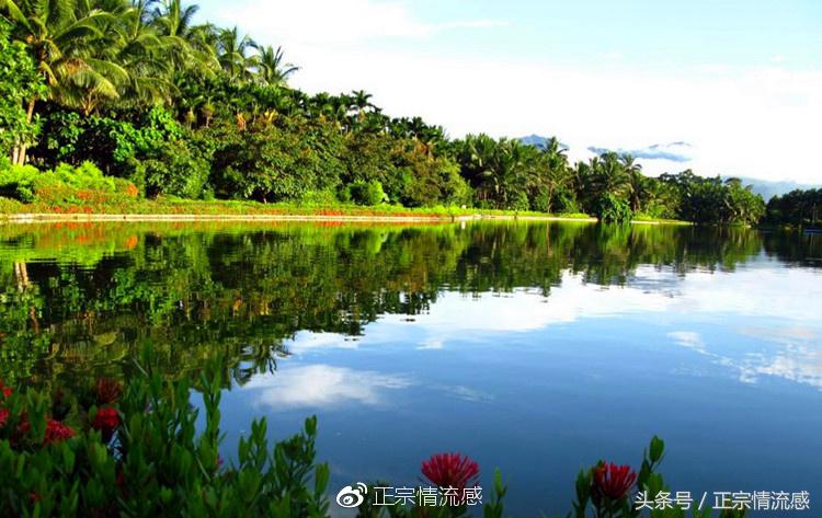边走边吃水果视频,边走边吃一路看风景