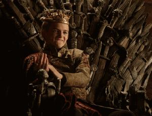 铲屎官们推荐一款便宜好狗粮,铲屎官猫粮测评