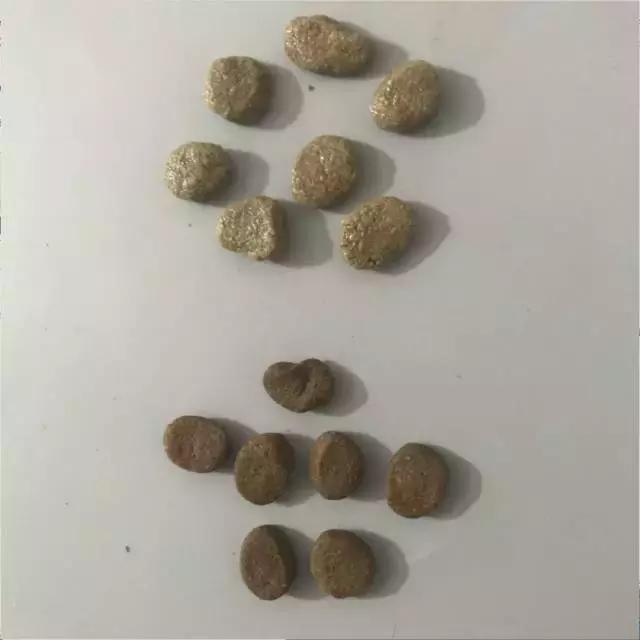 铲屎官们推荐一款便宜好狗粮,铲屎官猫粮测评