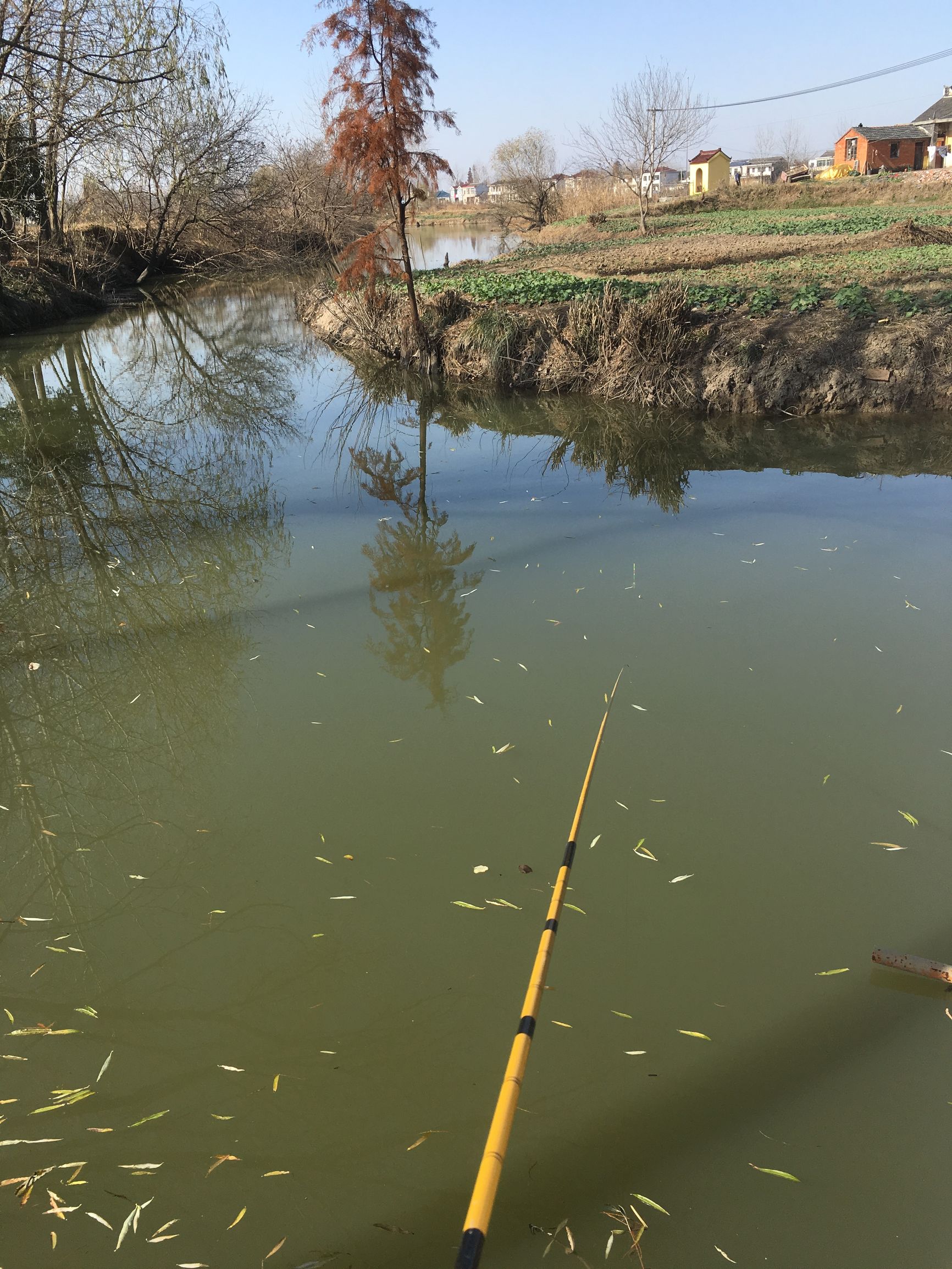 冬季-6℃—4℃大晴天钓鱼，钓友们你们猜渔获会怎么样呢？
