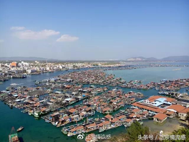 边走边吃水果视频,边走边吃一路看风景