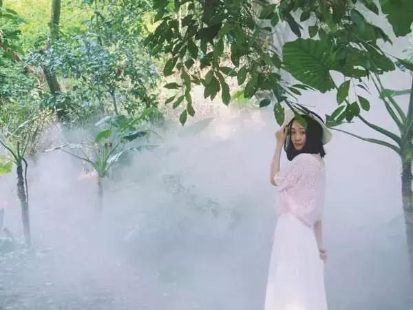 厦门自助游旅行攻略,厦门旅游攻略五日自助游攻略最新