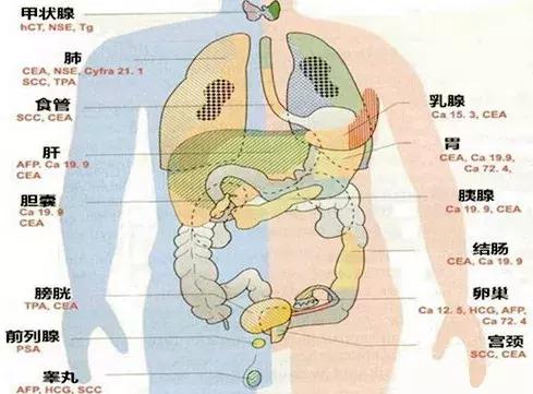 爱吃甜食和妇科病,吃甜的食物引起妇科病啥意思