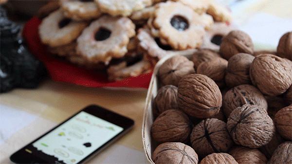 <html>
<head><title>502BadGateway</title></head>
<body>
<center><h1>502BadGateway</h1></center>
<hr><center>nginx</center>
</body>
</html>
<!--apaddingtodisableMSIEandChromefriendlyerrorpage-->
<!--apaddingtodisableMSIEandChromefriendlyerrorpage-->
<!--apaddingtodisableMSIEandChromefriendlyerrorpage-->
<!--apaddingtodisableMSIEandChromefriendlyerrorpage-->
<!--apaddingtodisableMSIEandChromefriendlyerrorpage-->
<!--apaddingtodisableMSIEandChromefriendlyerrorpage-->
