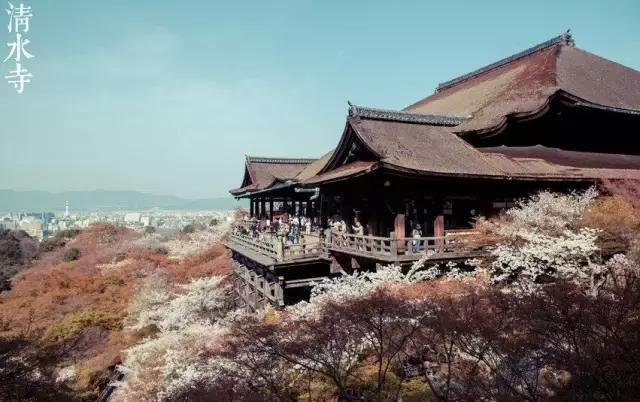 中国人过年消费让外国人惊呆,在日本买日货的感受